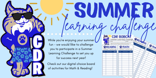 Summer Learning Challenge Graphic 
