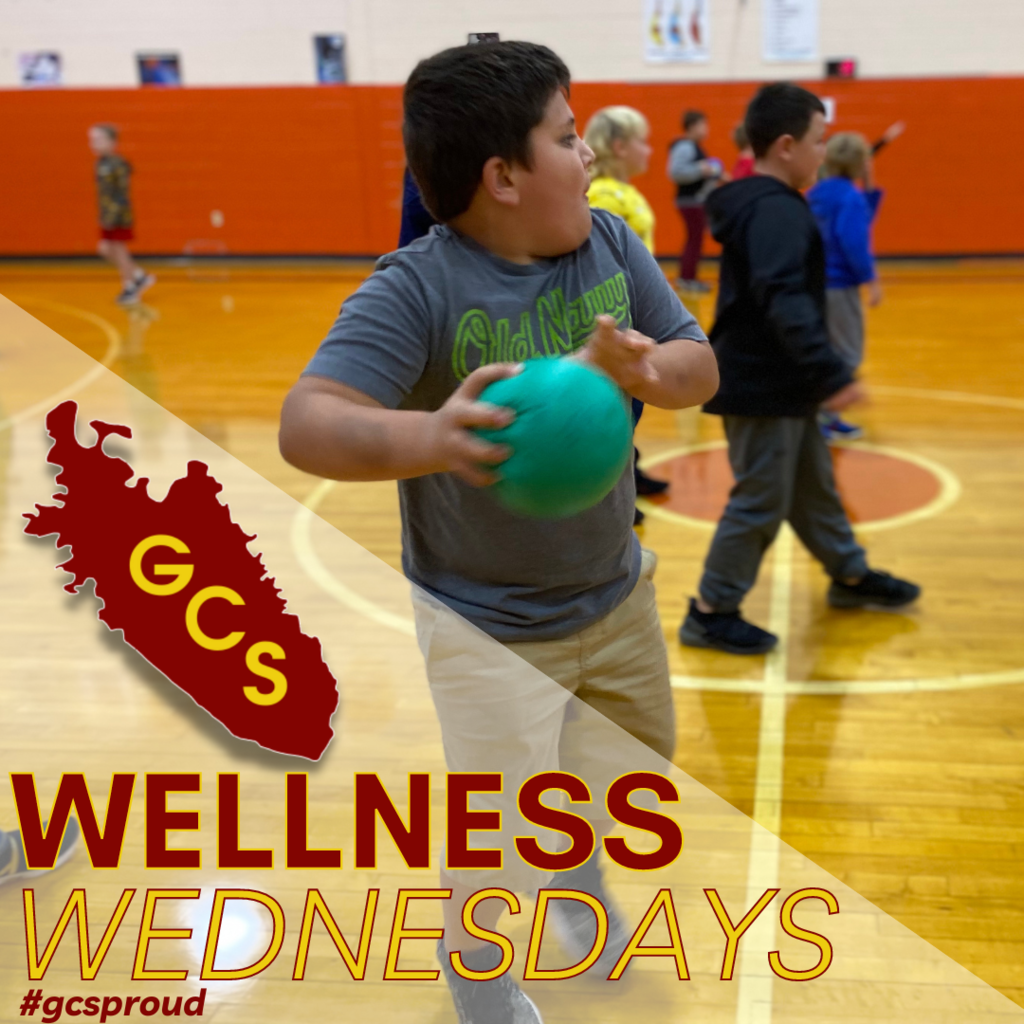 Wellness Wednesday-PLE